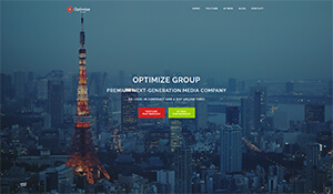 Optimize Group Website